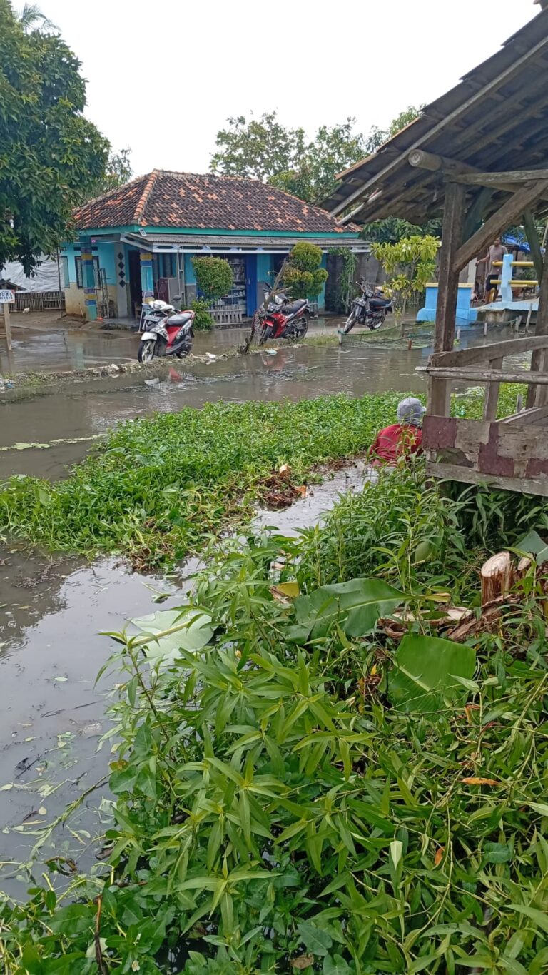 Waker Pemda Dinilai Lalai, Warga Karang Mulya Bersihkan Eceng Gondok Tanpa Kehadirannya